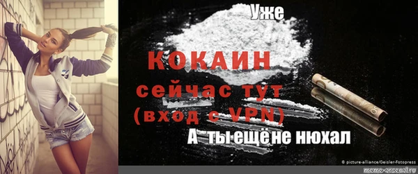 дурь Горняк